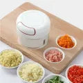 Mini Food Chopper